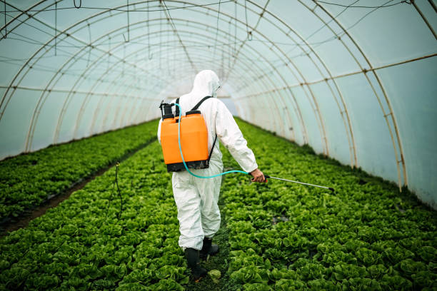 Best Pest Prevention Services  in Raymond, WA