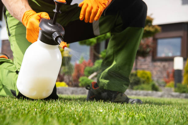 Pest Control Cost in Raymond, WA