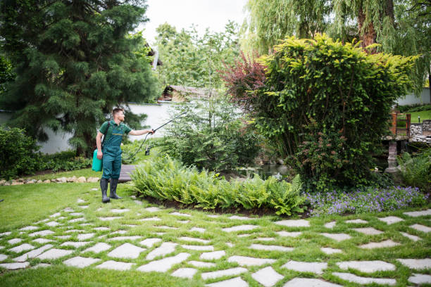 Best Insect Control  in Raymond, WA