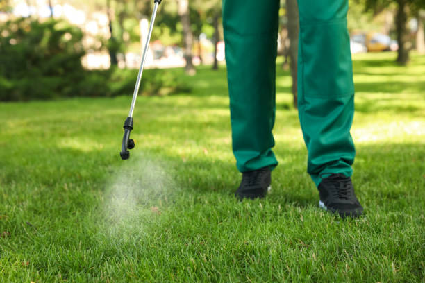 Pest Control for Restaurants in Raymond, WA