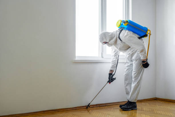 Best Pest Inspection Near Me  in Raymond, WA