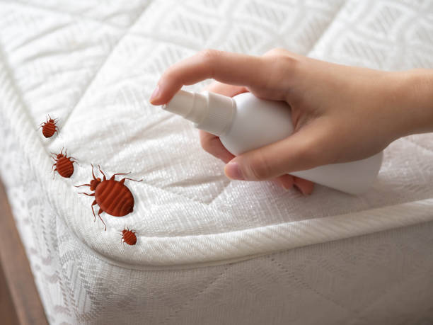 Best Local Pest Control Services  in Raymond, WA