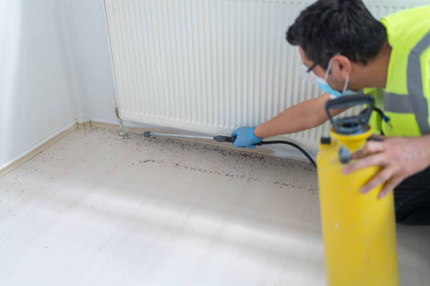 Best Affordable Pest Control Services  in Raymond, WA