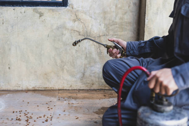 Pest Control Cost in Raymond, WA