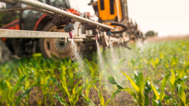 Best Ant Control Services  in Raymond, WA